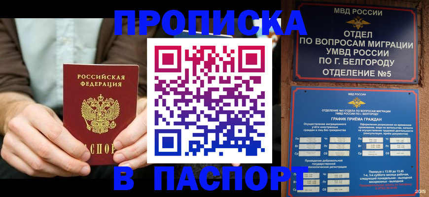 прописка иностранных граждан в Марий Эл